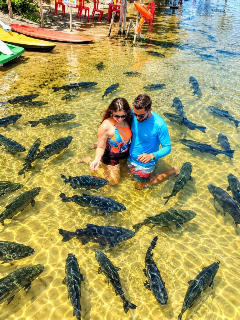 Banho e observação dos peixes tambaquis em água cristalina na Lagoa dos Tambaquis